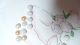 Buttons Rare Collection Of Vintage Victorian Womens ' Boot Buttons Buttons photo 3