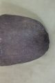 Large Ancient Antique American Indian Pre - Columbian Stone Axe Head,  Nr Native American photo 3