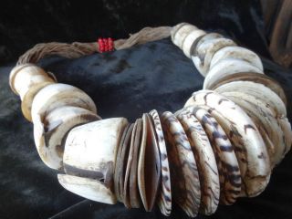 Old Asamt Shell Necklace Cannibals Papua New Guinea Sepik Png Savage Harvest photo