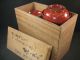 Japanese Antique 160 Yr Old Etched Gold Makie Flower Red Lacquer Lidded Bowl Bowls photo 5