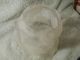 Victorian Etched Parrot Tulip Art Glass Shade Gasolier Globe Ruffle Edge Chandeliers, Fixtures, Sconces photo 5