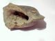 Pre Columbian Rooster Chicken Bird Head Pottery Fragment Ecuador Authentic The Americas photo 4
