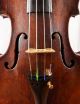 Domenico Geroni Old Italian Master Violin Labeled Antique 4/4 - (fiddle,  Geige) String photo 4