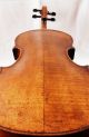 Domenico Geroni Old Italian Master Violin Labeled Antique 4/4 - (fiddle,  Geige) String photo 6