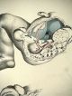 1851 Joseph Maclise Colored Lithograph Anatomy Plate 39 Other photo 1