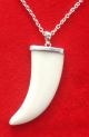 Nautical Scrimshaw Tusk Shape Carved Bone,  925 Sterling Silver,  Pendant/necklace Scrimshaws photo 3