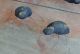 Handmade Spiders Bowl Fillers Set Of Four For Primitive Fall Halloween Decor Primitives photo 1