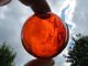 (1210) 2.  22 Inch Diameter Orange Japanese Curio Glass Float Ball Net Buoy Fishing Nets & Floats photo 2