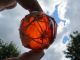 (1211) 2.  22 Inch Diameter Orange Japanese Curio Glass Float Ball Net Buoy Fishing Nets & Floats photo 2