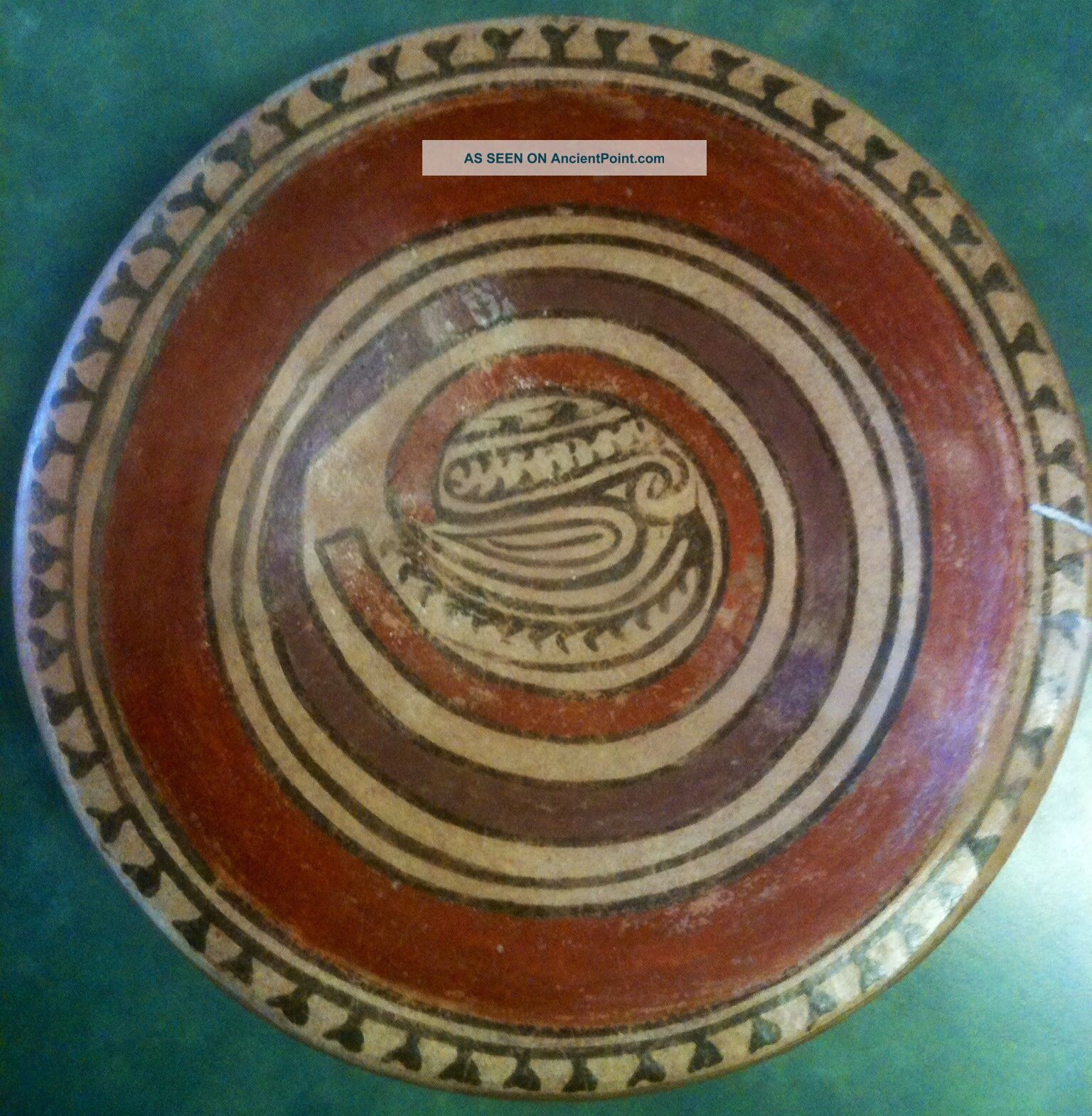 Inca Treasures Pre Columbian Terraca Cochle Plate Pottery Vessel Artifact Coa The Americas photo