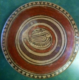Inca Treasures Pre Columbian Terraca Cochle Plate Pottery Vessel Artifact Coa photo