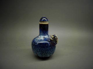 Collection Of Chinese Old Handmade Kiln Porcelain Lizard Snuff Bottle，no:7446 photo