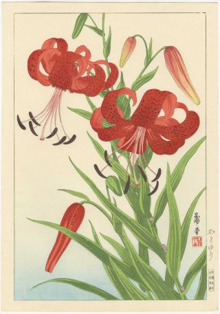 Nishimura Hodo Japanese Woodblock Print Tiger Lily 1938 Printing photo