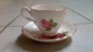 English Bone China Set Cup & Saucer Pink & Red Rose Accented W/gold Trimming photo
