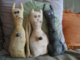 Primitive Barn Cats photo