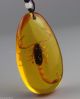 Insects Amber The Scorpion Pendant Necklaces & Pendants photo 1