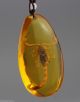 Insects Amber The Scorpion Pendant Necklaces & Pendants photo 2