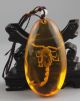 Insects Amber The Scorpion Pendant Necklaces & Pendants photo 6