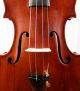 Antique Italian 100 Year Old 4/4 Master Violin (fiddle,  Geige) String photo 6