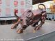 Chinese Red Bronze Carve Wall Street Wealth Bull Ox Lucky Feng Shui Statue Reproductions photo 2