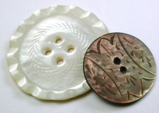 2 Antique Carved Shell Buttons Mop & Iridescent Designs photo