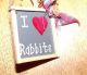 Primitive Raggedy Ann Doll Americana Usa Star Apron & I 3 Rabbits Chalkboard Primitives photo 3