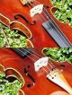 Antique Czech Violin By Josef Cermak - Kutna Hora 1899,  No.  130.  Refined Tone String photo 8