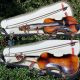 Fine Antique Czech Violin By Richard Gareis,  Oloví U Kraslic.  Full,  Fruity Tone String photo 10
