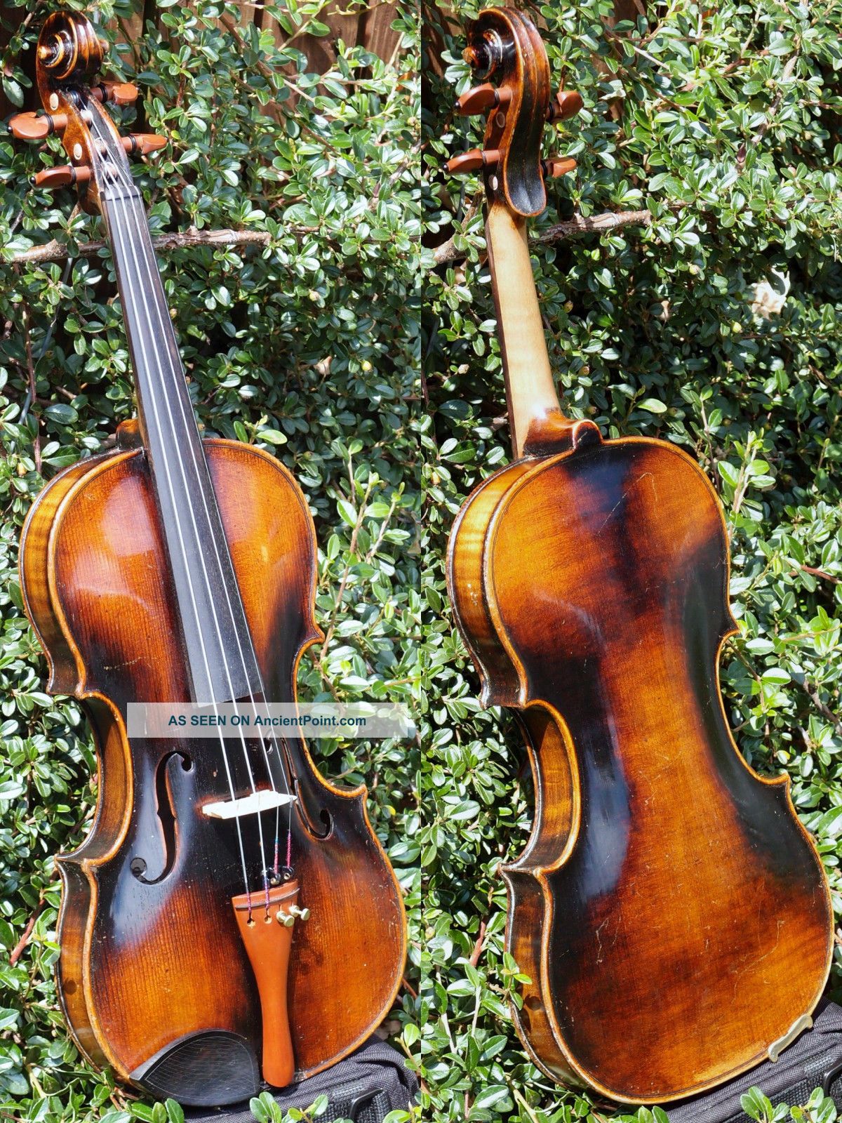 Fine Antique Czech Violin By Richard Gareis,  Oloví U Kraslic.  Full,  Fruity Tone String photo