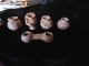 Group Of Small Costa Rican Clay Pottery Items Latin American photo 1