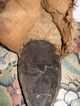 Auth.  Vintage Kuba Ngady Amwaash Wood Mask Cloth Headdress Cowrie Shells C.  1925 Masks photo 4