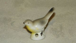 Grey/yellow - Breasted Bird Dripcatcher - Half Doll - Unmarked Germany - (3) photo