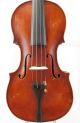 Antique Italian Anno 1911 Labeled 4/4 Old Master Violin (fiddle,  Geige) String photo 2