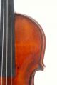 Antique Old English Fine Violin By William Thompson,  Auckland,  New Zealand 1884 String photo 10