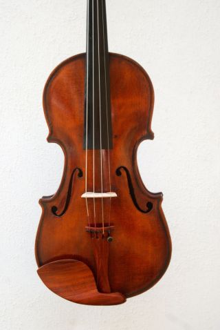 Antique Old English Fine Violin By William Thompson,  Auckland,  New Zealand 1884 photo