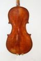 Antique Old English Fine Violin By William Thompson,  Auckland,  New Zealand 1884 String photo 1
