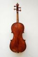 Antique Old English Fine Violin By William Thompson,  Auckland,  New Zealand 1884 String photo 2