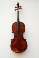 Antique Old English Fine Violin By William Thompson,  Auckland,  New Zealand 1884 String photo 3