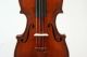 Antique Old English Fine Violin By William Thompson,  Auckland,  New Zealand 1884 String photo 5