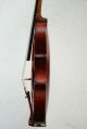 Antique Old English Fine Violin By William Thompson,  Auckland,  New Zealand 1884 String photo 7