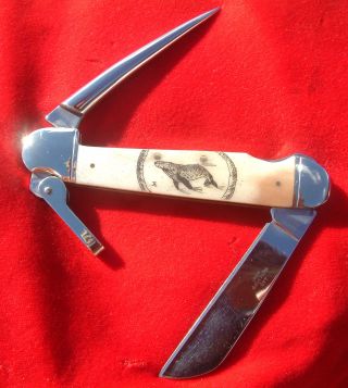 Scrimshaw Whale With Nautical Ropes,  Marlin Spike,  Rigging Folding Knife/knives photo