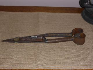 Vintage Sheep Shears Manufactured By By Burgon & Ball Ltd. photo