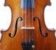 Antique Italian 100 Year Old 4/4 Master Violin (fiddle,  Geige) String photo 3