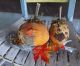 Primitive Pumpkins On Driftwood - Halloween Decor - 12x8 In.  - Tn Primitives Primitives photo 9