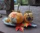 Primitive Pumpkins On Driftwood - Halloween Decor - 12x8 In.  - Tn Primitives Primitives photo 7
