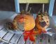 Primitive Pumpkins On Driftwood - Halloween Decor - 12x8 In.  - Tn Primitives Primitives photo 8
