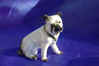 Antique Porcelain Old English Bulldog Bully Dog Numbered Foreign Pitbull photo