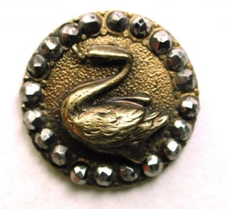 Antique Brass Button Swimming Swan Design W/ Full Cut Steel Border 11/16 