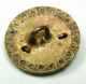 Antique Brass Button Swimming Swan Design W/ Full Cut Steel Border 11/16 