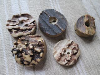 Antique Buttons From Bone Corn Deer/the Are From The Black Forest photo